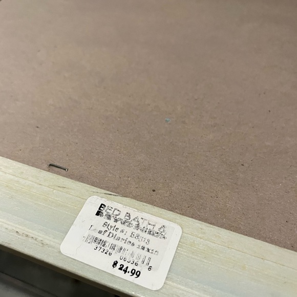 Pair of Framed Blue and Cream Botanical Prints “Leaf Diaries” - Picture 5 of 5